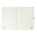 Collus A5 gold  colour revealing notebook 