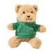 Hobear green  RPET pluh teddy bear with hoodie 