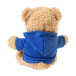 Hobear blauw  RPET pluh teddybeer met hoodie 