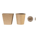 MerryGrow natural  Christmas tree growing kit 