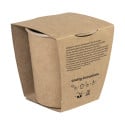 MerryGrow natural  Christmas tree growing kit 
