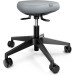 Leitz Ergo Active Sitting Stool with Swivel Seat and Casters
