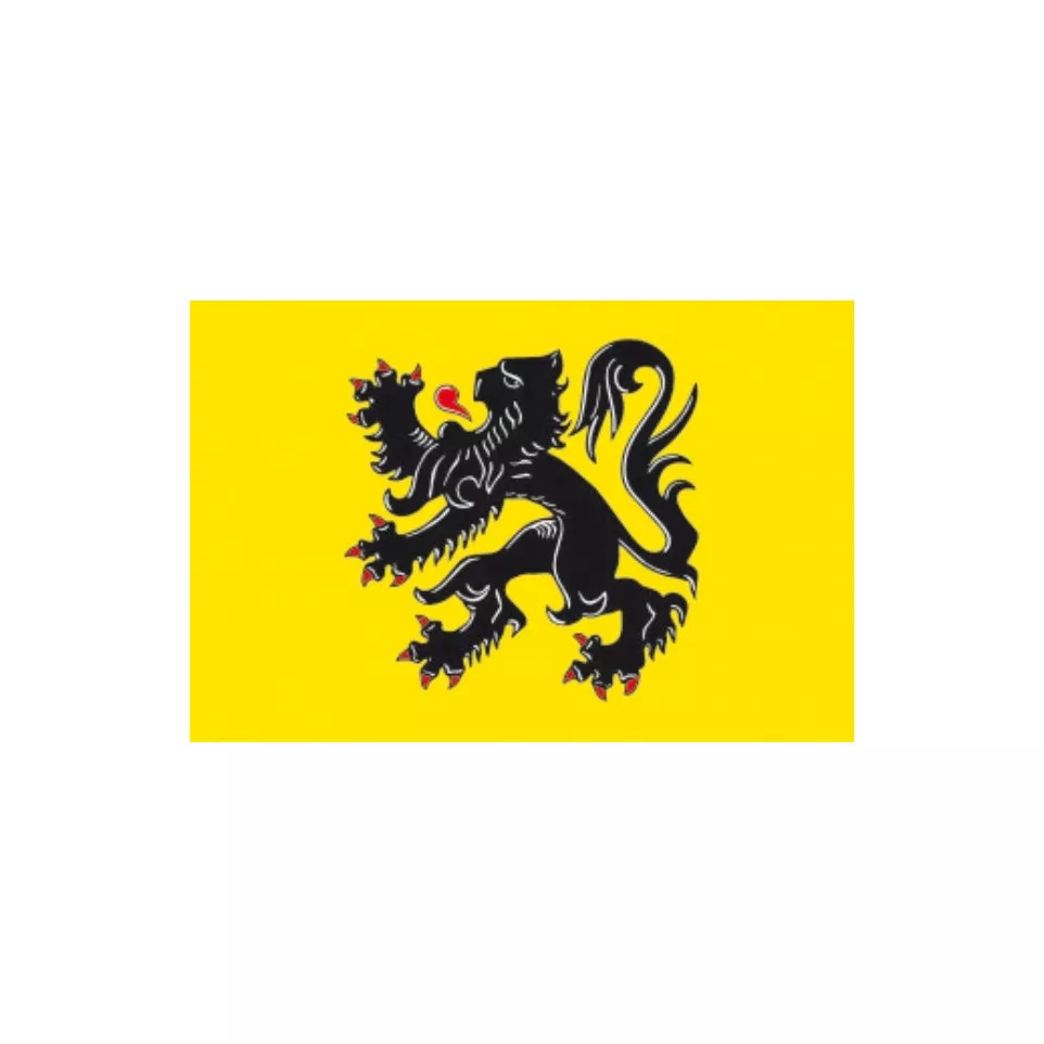 Vlag Vlaamse Gewest