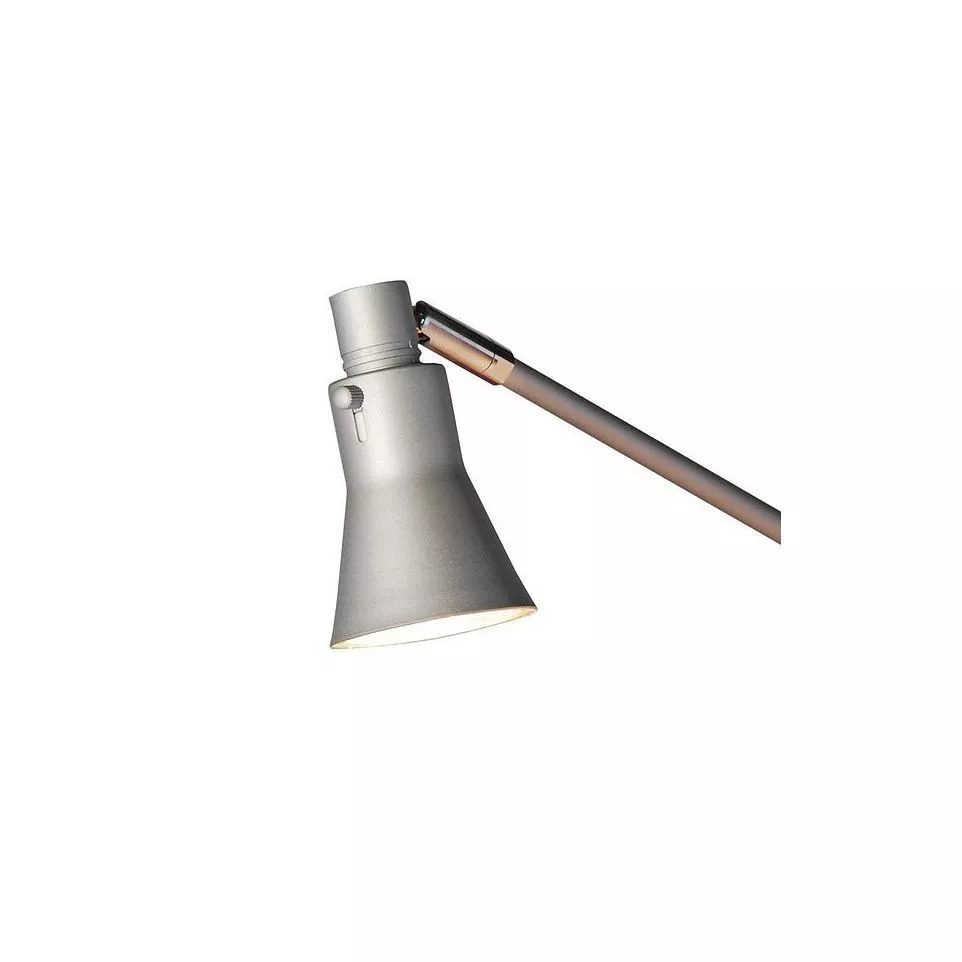 Spot Led / halogène pour Roll up