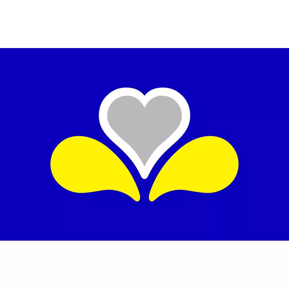 Vlag Brussels Gewest 