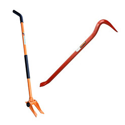 Hind feet, pavers tongs