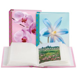 Albums & Carnets
